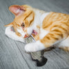 MOVING FISH CAT TOY