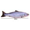 MOVING FISH CAT TOY
